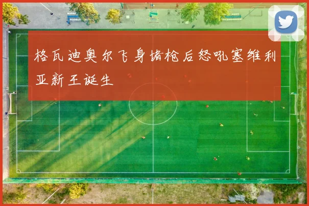 格瓦迪奥尔飞身堵枪后怒吼塞维利亚新王诞生