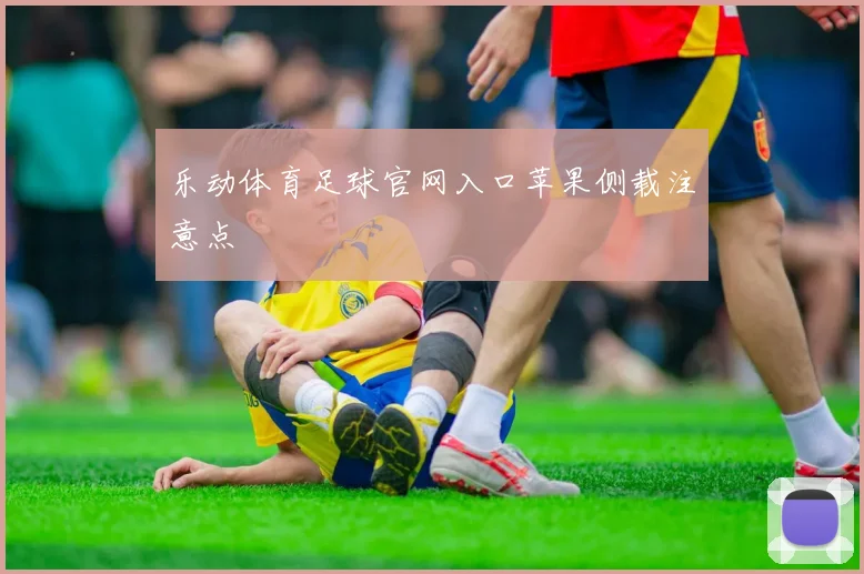 乐动体育足球官网入口苹果侧载注意点
