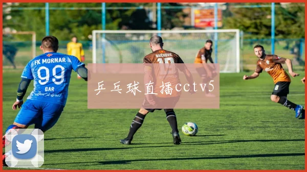 乒乓球直播cctv5