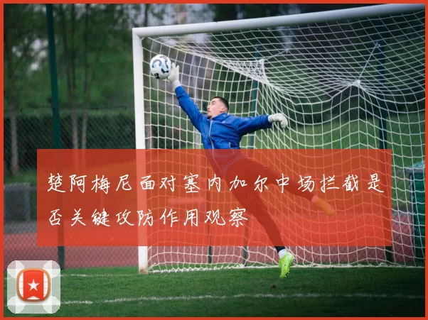 楚阿梅尼面对塞内加尔中场拦截是否关键攻防作用观察