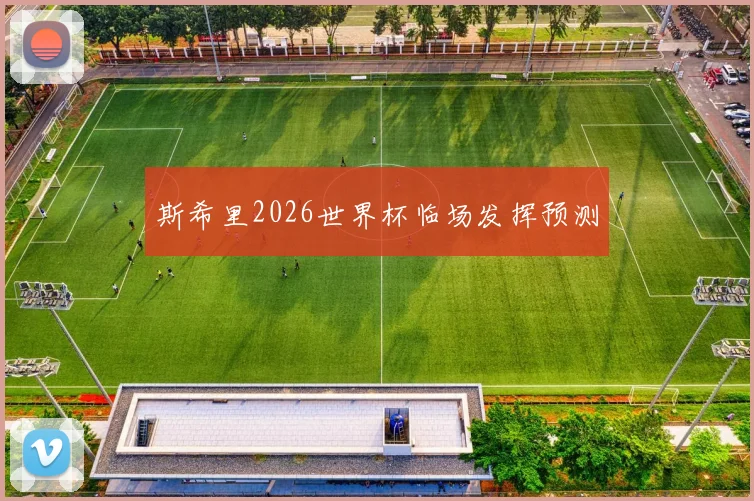 斯希里2026世界杯临场发挥预测