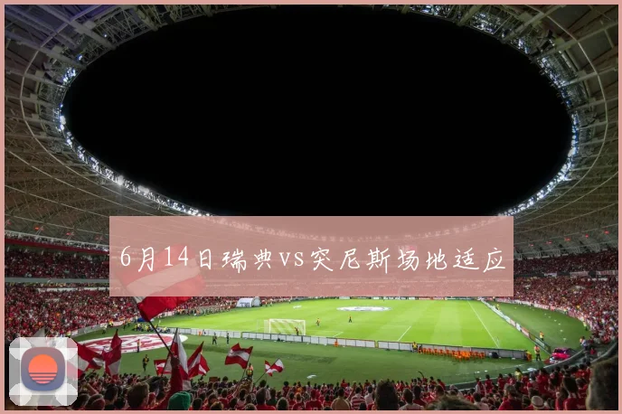 6月14日瑞典vs突尼斯场地适应