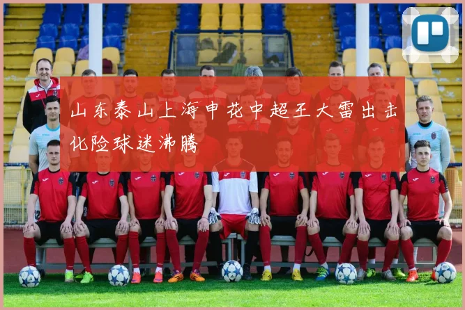 山东泰山上海申花中超王大雷出击化险球迷沸腾