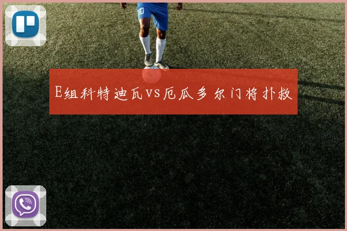 E组科特迪瓦vs厄瓜多尔门将扑救